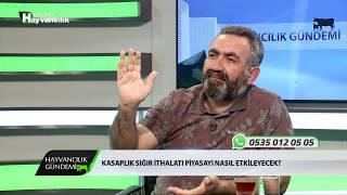 Hayvancılık Gündemi  Eşref Şekerli  Kasaplık Sığır İthalatı İntihardır