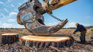 Extreme Dangerous Fastest Big Chainsaw Cutting Tree Machines  Monster Stump Removal Excavator #49