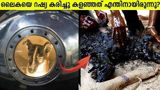 ലൈക്കെയുടെ ദുരിത യാത്ര Sad Story Of Laika Space Dog In Malayalam - Storify