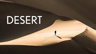 Take it easy and watch 5 minutes of desert clips