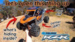 THE TEAR DOWN Losi sxs Polaris RZR Fox Edition Part 1