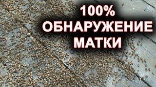 Как найти матку. 100% способ убрать матку из семьи.