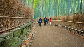 Kyoto Japan - Arashiyama Bamboo Forest Walking Tour • 4K HDR re-upload