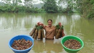 Harvesting CRAB in the BAMBOO TRAP Plain Go to the Market to Sell - Spring Crop Care  Country Life