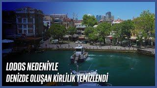 Lodos Nedeniyle Oluşan Deniz Kirliliği Temizlendi