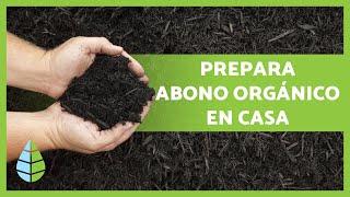 Cómo hacer ABONO ORGÁNICO CASERO paso a paso + Mejores fertilizantes caseros 