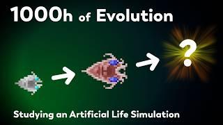 1000 Hours of ALife Evolution  Recreating the largest evolution experiment ever