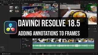 DaVinci Resolve 18.5  Adding Annotations to Frames