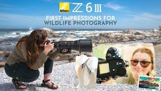 Nikon Z6III  My first impressions for wildlife photography on assignment for Nikon Europe    