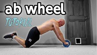 Ab Wheel For Beginners  Rollout Progression and Extra Exercises