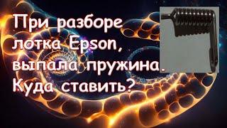 При разборе лотка Epson выпала пружина. Куда ставить?