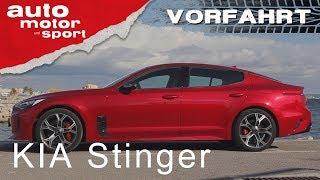 Kia Stinger Angriff auf Audi und BMW - Vorfahrt  auto motor und sport