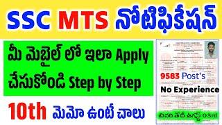 SSC MTS Havaldar Application Process 2024 in Telugu  9583 పోస్టులు  How to Apply SSC MTS 2024