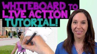 Doodly Tutorial WHITEBOARD ANIMATION TO LIVE ACTION