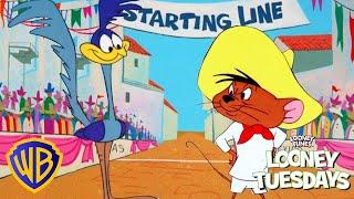 Looney Tuesdays  ​Road Runner Vs Speedy Gonzales  @wbkids​