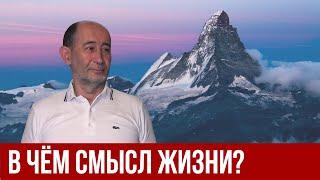 В чём смысл жизни? Александр Бузгалин