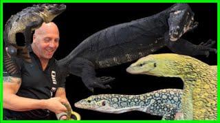 WOW YOU CANT OUTDO THIS INDONESIA REPTILE EXPO PART 1