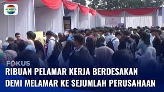 Demi Melamar ke Sejumlah Perusahaan Ribuan Pencari Kerja Terpaksa Berdesakan  Fokus