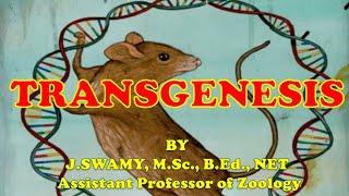 TRANSGENESIS AND METHODS OF TRANSGENESIS