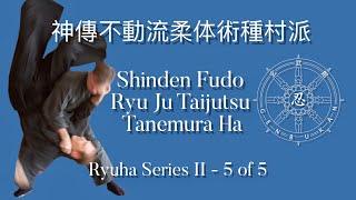 Genbukan Shinden Fudo Ryu Ju Taijutsu Tanemura-Ha 玄武館神傳不動流柔体術種村派