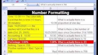 Excel Basics #13 Percentage Number Format