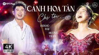 Phiêu với Mashup CHỊ TÔI & CÁNH HOA TÀN của Hương Tràm & Hoàng Hải  Giao Lộ Thời Gian