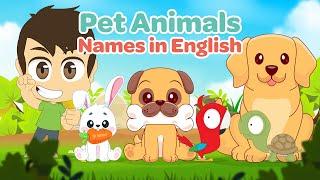 اسماء الحيوانات الأليفة باللغة الإنجليزية  تعليم الإنجليزية للأطفال مع زكريا