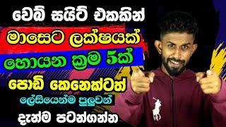 How to Earn  Money From Website   Best 5 Ideas to Make money From Website   Emoney Sinhala