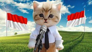 KUCING NYANYI LAGU KEBANGSAAN 17 AGUSTUS TAHUN 45 PART 3