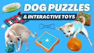 Best Interactive Dog Puzzles & Toys for Mental Stimulation  Proud Dog Mom