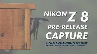 Explaining the Nikon Z 8 Z 9 and Z6III Pre-Release Capture Use it for Sports Action Wildlife