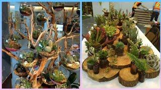 beautiful and amazing wood pieces craft ideas and decoration with plants centerpieces