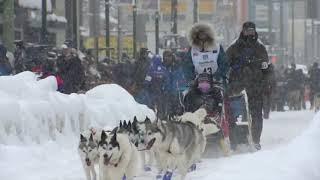 Lisbet Norris  2022 Iditarod Pure Bred Siberian Husky Team