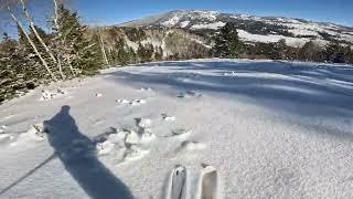 Beaver Mountains Lues in fresh powder