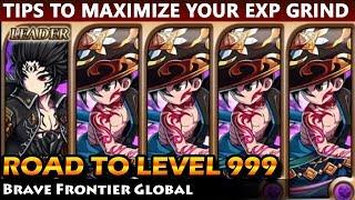 Road To Level 999 - Tips To Maximize Your EXP Farming Brave Frontier Global