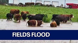 Wisconsin dam fails roads fields flood amid intense rain  FOX6 News Milwaukee