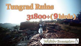 BDO  Tungrad Ruins  Witch Succ  31800+hr 9 Birds 疲れる