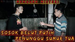 Menguak Misteri BELUT PUTIH PENUNGGU SUMUR TUA