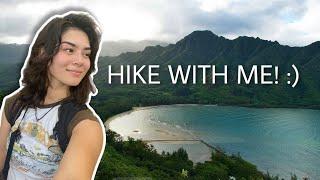 crouching lion  HIKING VLOG