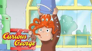 The Mysterious Octopus   Curious George  Kids Cartoon  Kids Movies