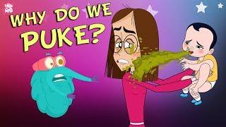 Why Do We Puke?  The Dr. Binocs Show  Best Learning Videos For Kids  Peekaboo Kidz