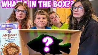 Whats in the Box Challenge with MrBeast Feastables