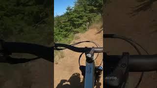 Gap im Bikepark St. Andreasberg  #shorts #mtbjumps #gap