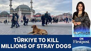 Turks Protest Against Erdogans New Law Seeking to Euthanise Stray Dogs  Vantage with Palki Sharma