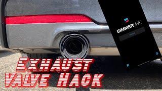 Can BimmerLink make your Exhaust LOUD?  Exhaust Valve hack