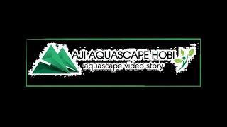 AJI #AQUASCAPE HOBI MINI FARM  REVIEW SINGKAT MINI FARM AJI #AQUASCAPE HOBI. . .