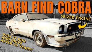 ABANDONED King Cobra Mustang - WILL IT RUN and Drive After 26 Years?