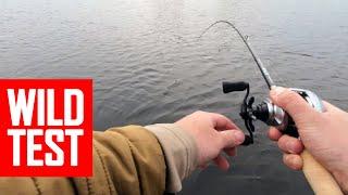 Lure fishing rod test PureLure Wild rod is super sensitive and high quality