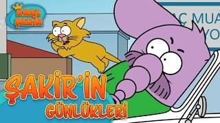 Şakirin Günlükleri  47  Kral Şakir