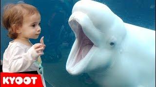 Funny Kids at the Aquarium  Girl SPOOKED By A Beluga Whale